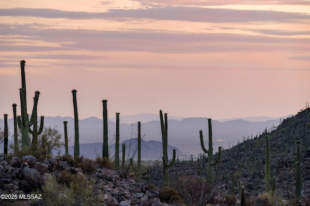 13935 Old Ranch House Rd, Marana, AZ 85658 - view of mountain backdrop