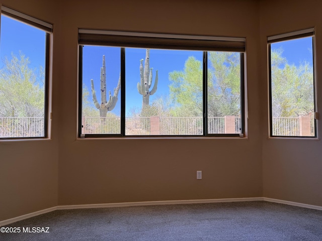 1320 W Bloomington Pl, Tucson, AZ 85755 - spare room with carpet, baseboards, and plenty of natural light