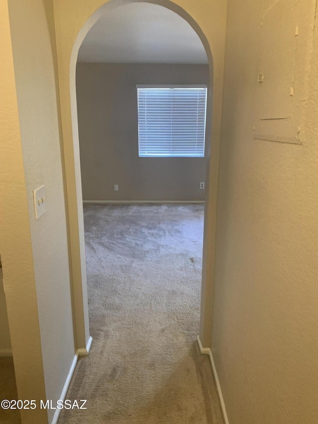 8271 N Oracle Rd Unit 146, Tucson, AZ 85704 - corridor featuring carpet floors and arched walkways