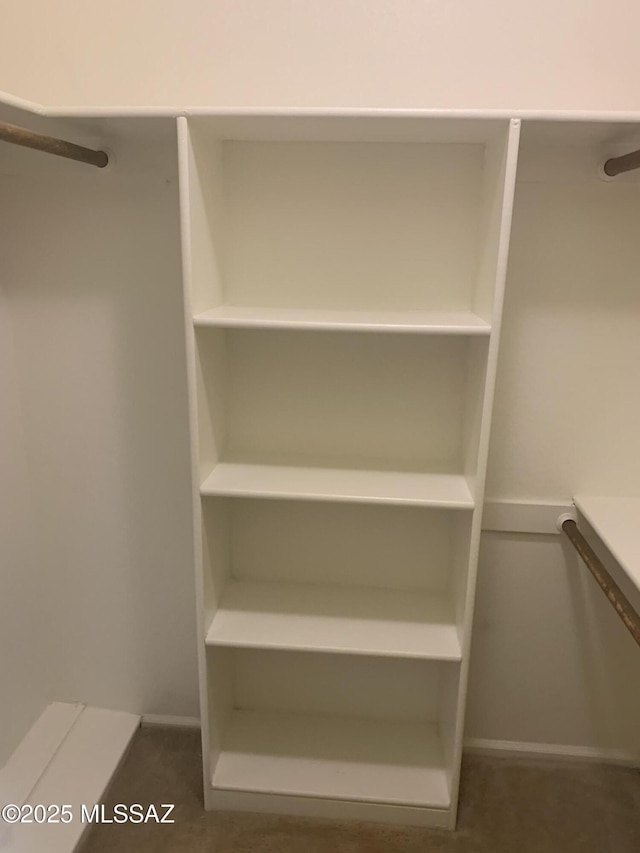 8271 N Oracle Rd Unit 146, Tucson, AZ 85704 - view of spacious closet