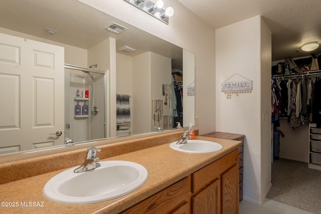 13218 E Mineta Ridge Dr, Vail, AZ 85641 - bathroom with double vanity, a spacious closet, and a stall shower
