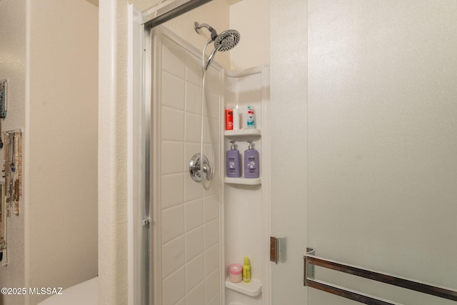 13218 E Mineta Ridge Dr, Vail, AZ 85641 - full bathroom featuring a shower stall