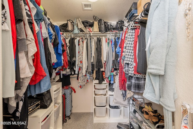 13218 E Mineta Ridge Dr, Vail, AZ 85641 - walk in closet featuring carpet floors