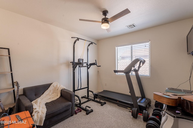 13218 E Mineta Ridge Dr, Vail, AZ 85641 - workout area with a ceiling fan and carpet flooring