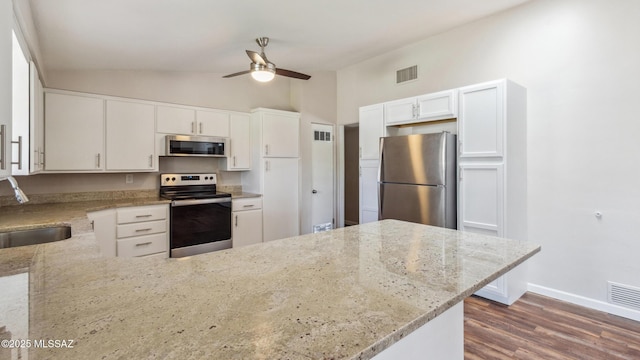 5701 E Waverly St, Tucson, AZ 85712 - kitchen with stainless steel appliances, a sink, lofted ceiling, a ceiling fan, and light stone counters