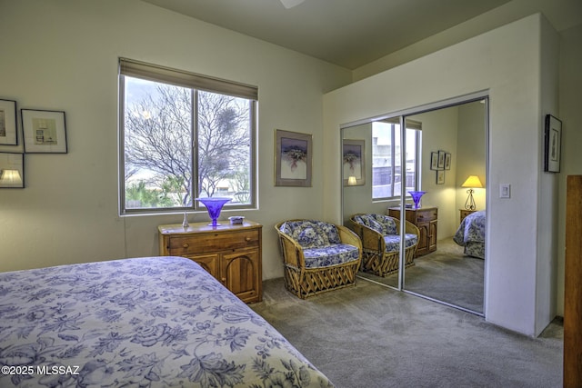 2460 N Cavalry Trl, Tucson, AZ 85749 - carpeted bedroom with a closet