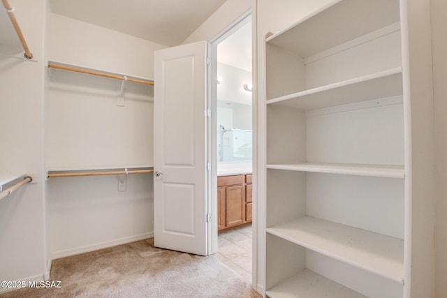 13391 N Flaxleaf Pl, Oro Valley, AZ 85755 - walk in closet featuring light carpet