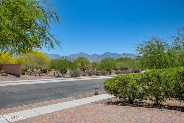 13391 N Flaxleaf Pl, Oro Valley, AZ 85755 - view of street featuring sidewalks, a mountain view, and curbs