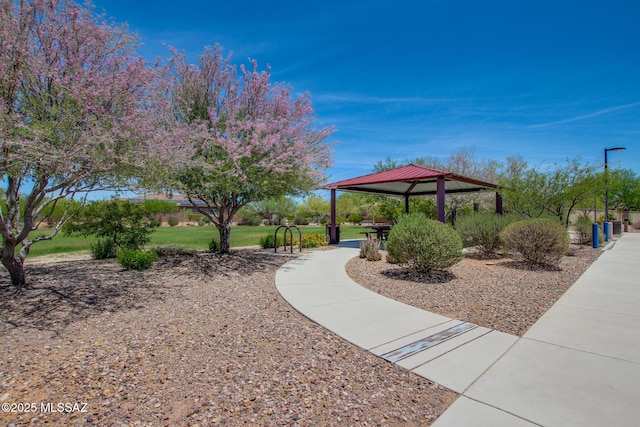 13391 N Flaxleaf Pl, Oro Valley, AZ 85755 - surrounding community featuring a gazebo