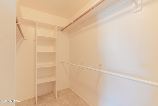 6805 W Tombstone Way, Tucson, AZ 85743 - spacious closet with carpet floors