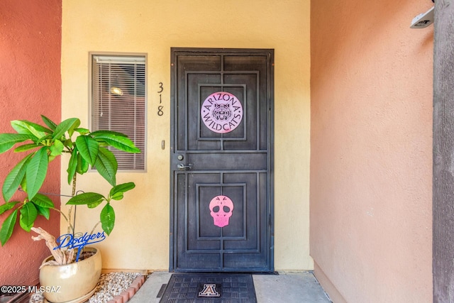 318 N Hasman Dr, Tucson, AZ 85745 - view of exterior entry with stucco siding