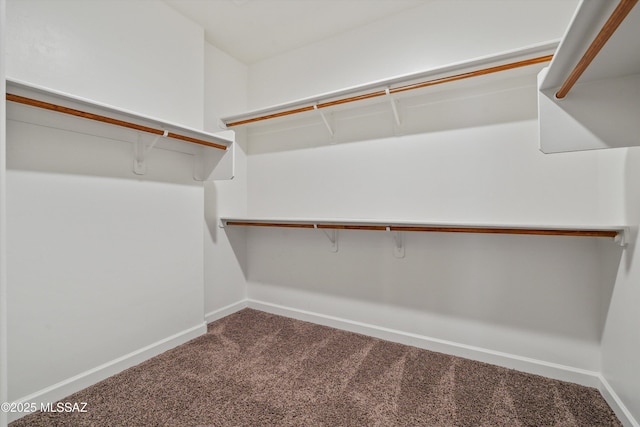 12223 E Becker Dr, Vail, AZ 85641 - spacious closet with carpet flooring