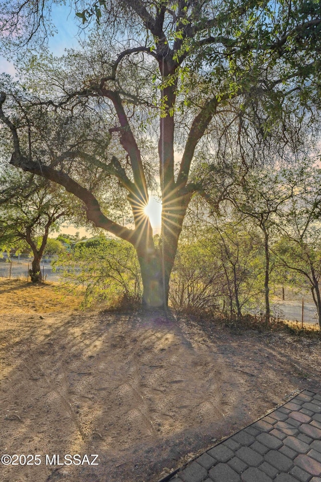 365 E Parkside St, Oracle, AZ 85623 - view of yard