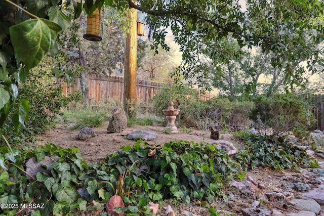 365 E Parkside St, Oracle, AZ 85623 - view of yard