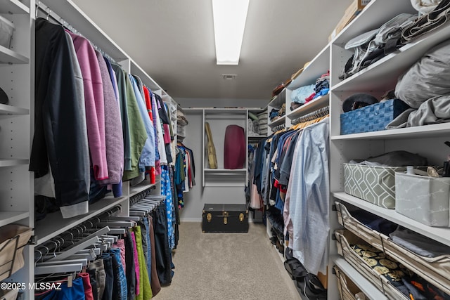 17213 S Mesa Shadows Dr, Vail, AZ 85641 - spacious closet with carpet floors