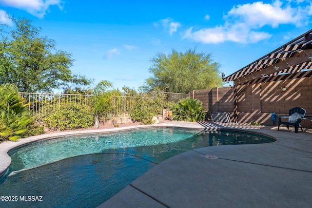 17213 S Mesa Shadows Dr, Vail, AZ 85641 - view of pool with a fenced backyard and a patio