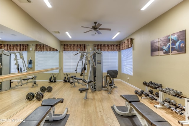 1500 E Pusch Wilderness Dr Unit 10106, Tucson, AZ 85737 - exercise room with wood finished floors, ceiling fan, baseboards, and healthy amount of natural light