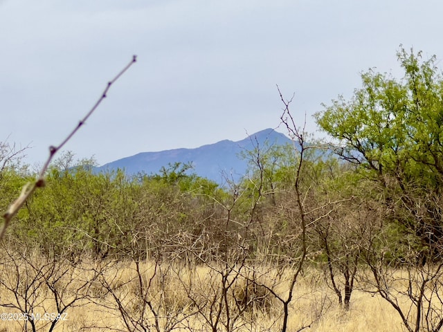 00 Yucca Ash Farm Rd, Sonoita, AZ 85637