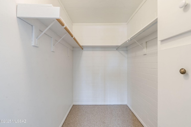 1470 S Palo Verde Ave Unit J 201, Tucson, AZ 85713 - walk in closet featuring carpet