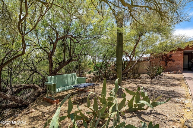 6731 N Pontatoc Rd, Tucson, AZ 85718 - view of yard