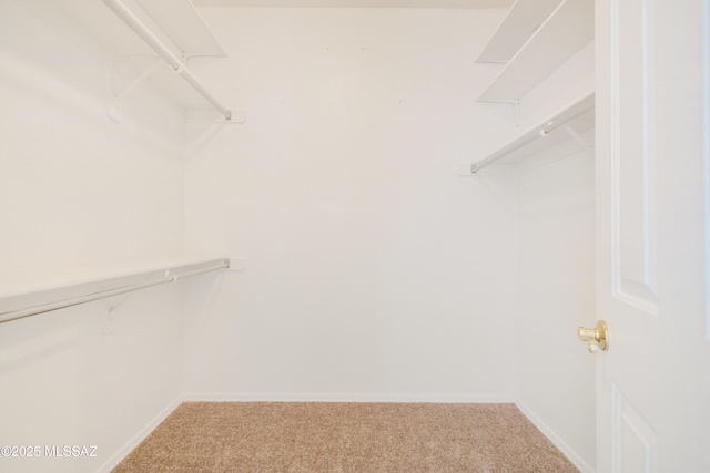 3347 S Desert Scroll Pl, Tucson, AZ 85735 - spacious closet with carpet flooring