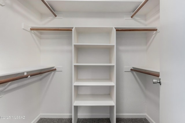 8072 S Carbury Way, Tucson, AZ 85747 - view of spacious closet