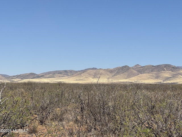 38.76ACRE S Los Gatos Trl Unit 8, Pearce, AZ 85625
