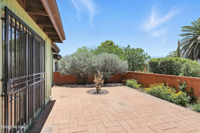 1358 S Desert Meadows Cir, Green Valley, AZ 85614 - fenced backyard featuring a patio area