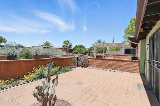 1358 S Desert Meadows Cir, Green Valley, AZ 85614 - fenced backyard with a patio and a pergola