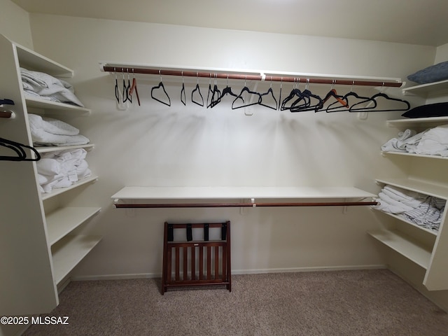 17144 S Scarlet Cliff Pl, Vail, AZ 85641 - spacious closet with carpet floors