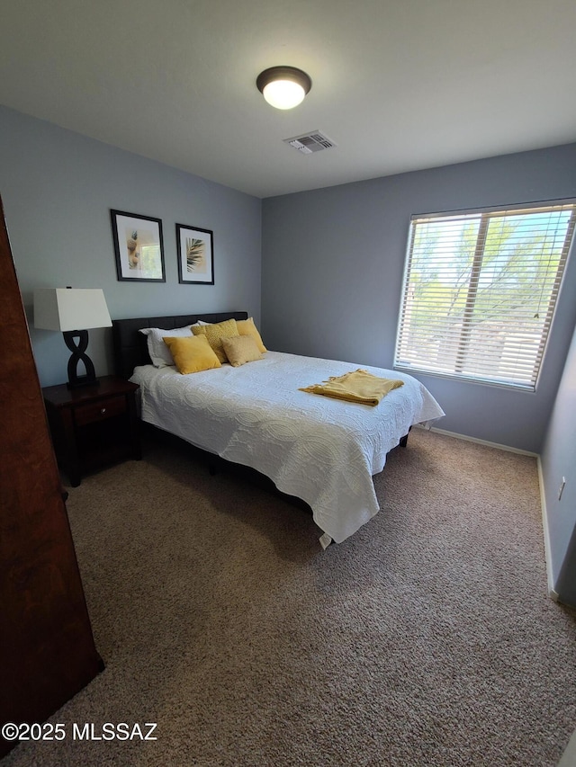17144 S Scarlet Cliff Pl, Vail, AZ 85641 - bedroom with carpet floors and baseboards