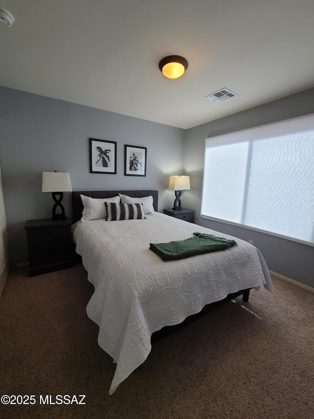 17144 S Scarlet Cliff Pl, Vail, AZ 85641 - bedroom with carpet floors and baseboards