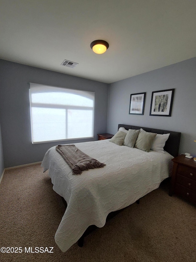 17144 S Scarlet Cliff Pl, Vail, AZ 85641 - carpeted bedroom with baseboards