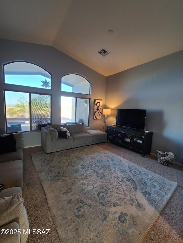 17144 S Scarlet Cliff Pl, Vail, AZ 85641 - living room with lofted ceiling, carpet floors, and baseboards