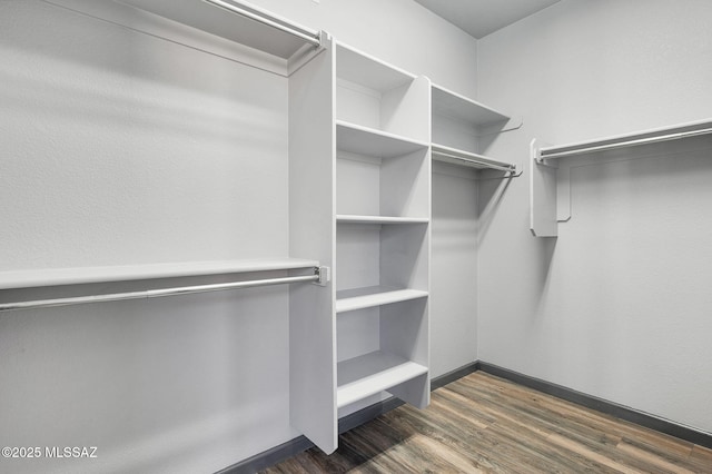 329 W Vuelta Friso, Sahuarita, AZ 85629 - spacious closet featuring dark wood finished floors