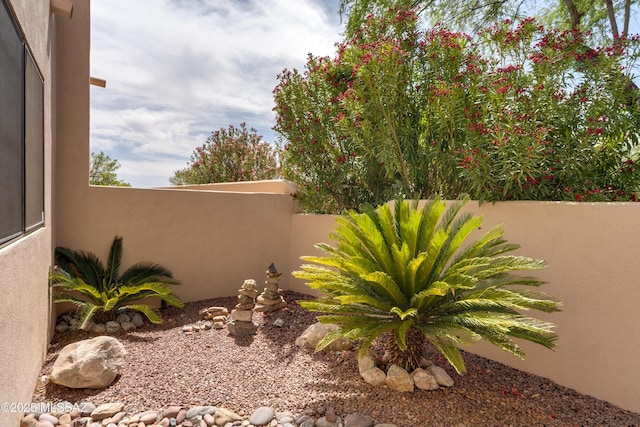 6061 N Tocito Pl, Tucson, AZ 85718 - view of yard