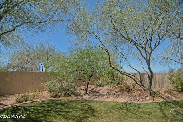 22100 E Statehood Ln, Red Rock, AZ 85145 - view of fenced backyard