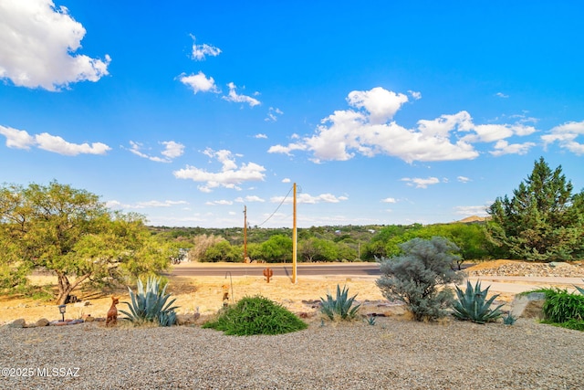 1448 N Calle Futura, Oracle, AZ 85623 - view of yard