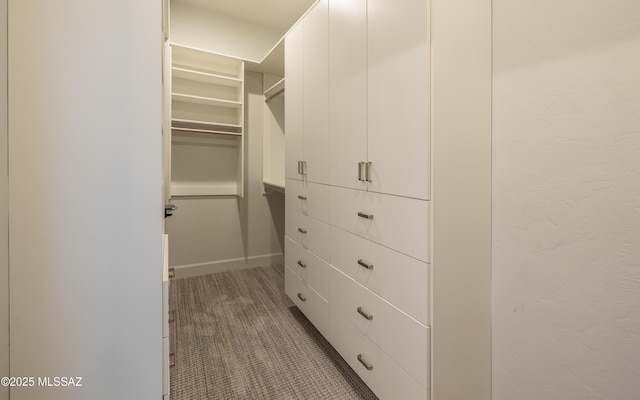 13570 N Nightstar Ct, Marana, AZ 85658 - spacious closet with light carpet