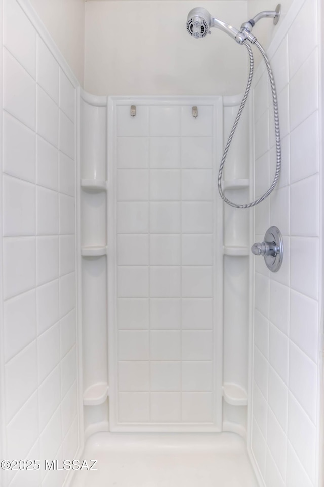 7077 S Cottontail Run Ave, Tucson, AZ 85756 - bathroom featuring a shower