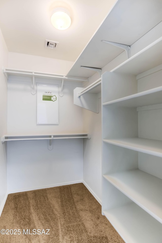 7077 S Cottontail Run Ave, Tucson, AZ 85756 - walk in closet featuring carpet flooring