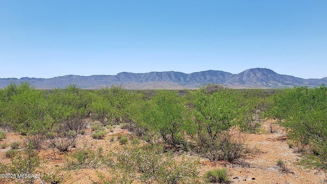 5.17AC Rock Rd Unit 133, Pearce, AZ 85625