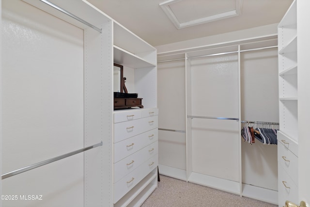 9510 E Danforth Pl, Tucson, AZ 85747 - spacious closet with attic access and light carpet