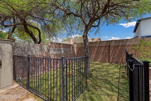 9510 E Danforth Pl, Tucson, AZ 85747 - view of yard with a gate