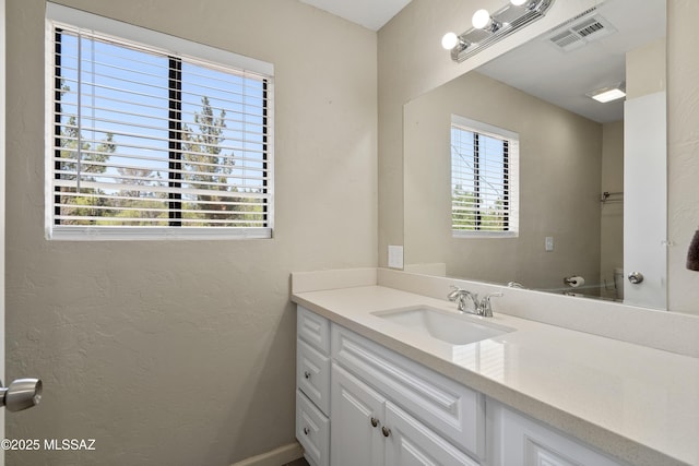 745 N Las Flores Dr, Oracle, AZ 85623 - bathroom featuring vanity and a textured wall