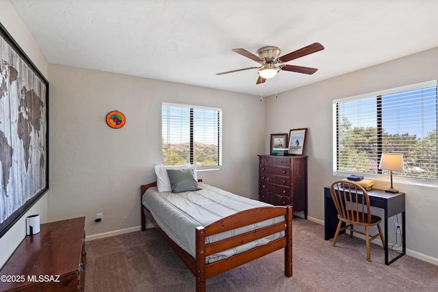 745 N Las Flores Dr, Oracle, AZ 85623 - bedroom with multiple windows, carpet, and an office area