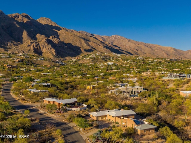 6532 N Cibola Ave, Tucson, AZ 85718 - view of mountain background