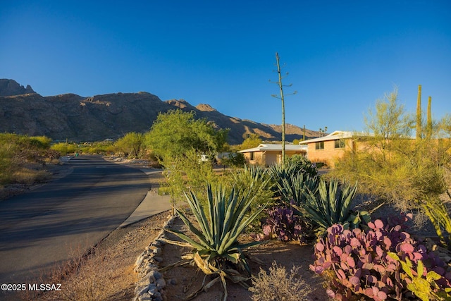 6532 N Cibola Ave, Tucson, AZ 85718 - view of mountain backdrop
