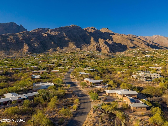 6532 N Cibola Ave, Tucson, AZ 85718 - view of mountain background