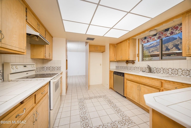6532 N Cibola Ave, Tucson, AZ 85718 - kitchen featuring stainless steel dishwasher, white electric range oven, under cabinet range hood, and tasteful backsplash